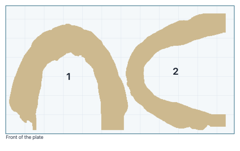 Model Print plate map: the two models seen from above on the build plate, numbered